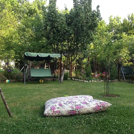 Kostadinovi