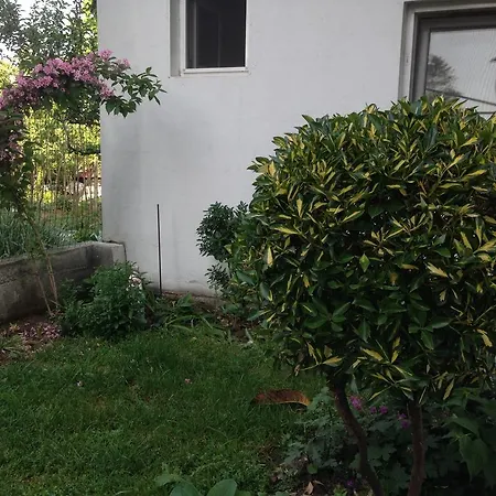 Kostadinovi Πανσιόν Lozenets